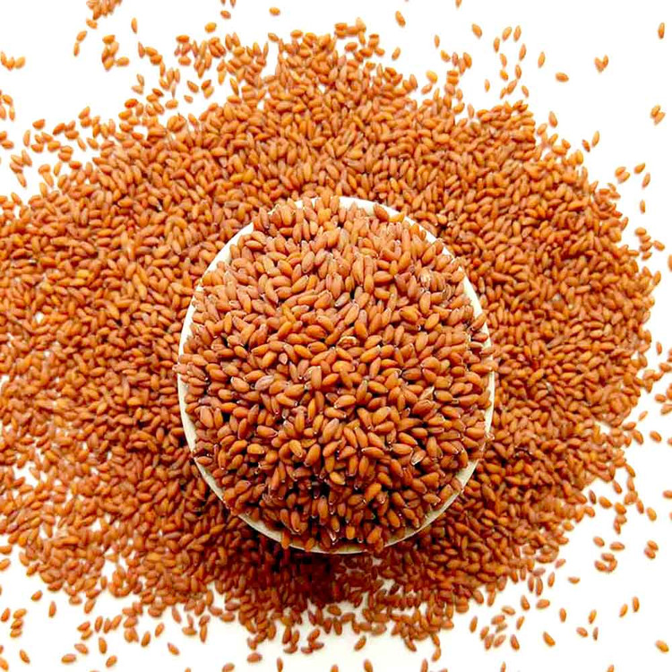 بذر شاهی