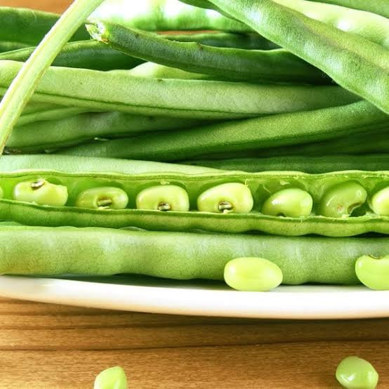 بذر لوبیا چشم بلبلی