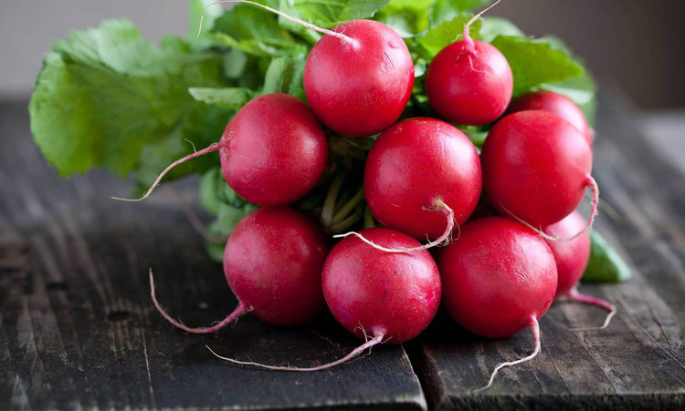 بذر تربچه چری بل مزرعه کوچک ترکیه