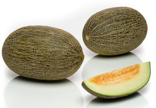 بذر ملون فرانسوی روشه Rochet