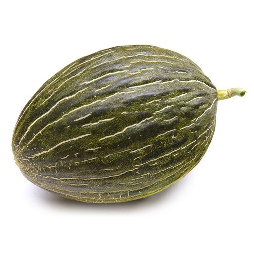 بذر بیولوژیک ملون ایتالیایی پاپیروس