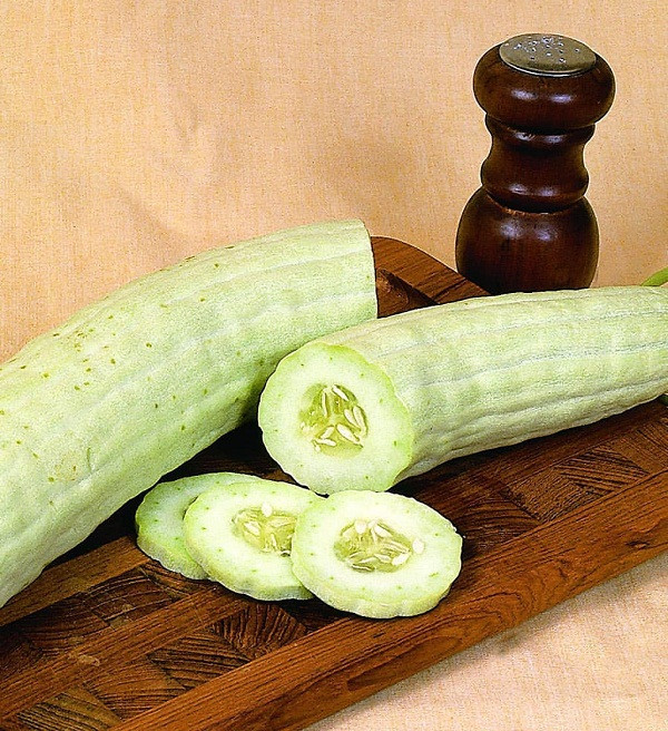 بذر دستی خیار چنبر