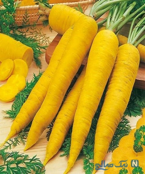 بذر زردک(هویج زرد)