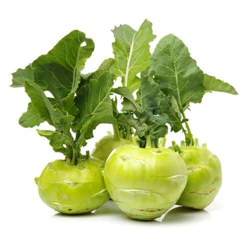 بذرکلم قمری سبز (کلم سنگی)