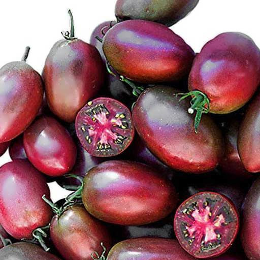 بذر گوجه تخم مرغی خرمایی درختی
