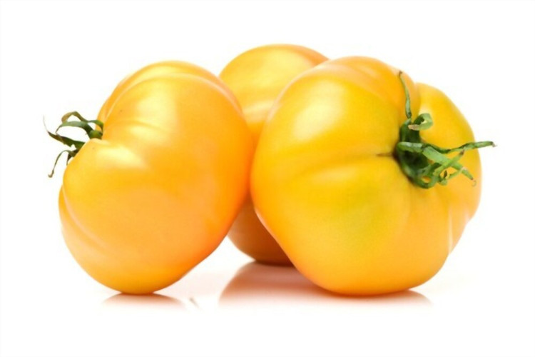 بذر گوجه فرنگی زرد بوته ای