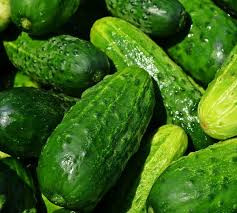 بذر خیار اصفهانی