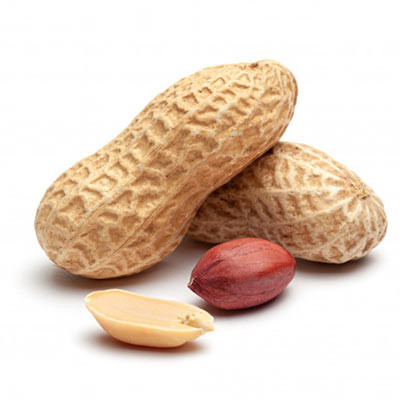 بذر بادام زمینی