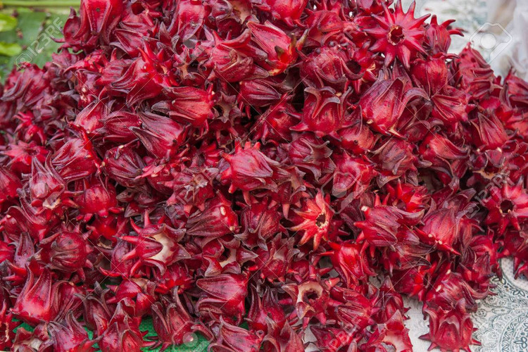 بذر چای ترش