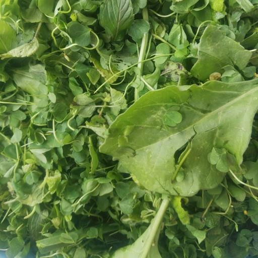پک سبزیجات معطر شمالی