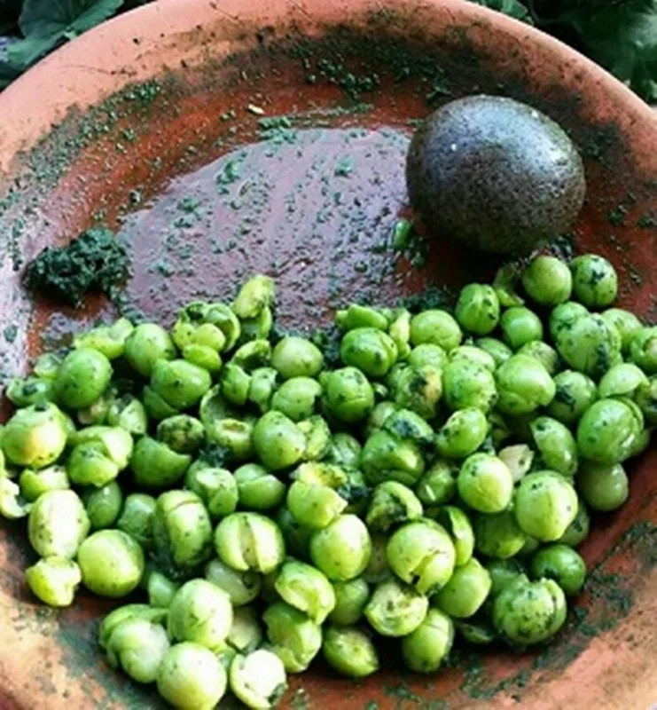 پک سبزیجات معطر شمالی