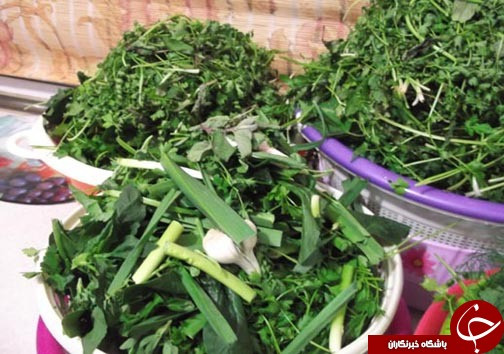 پک سبزیجات معطر شمالی