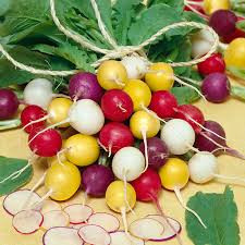 بذر تربچه میکس ده گرمی