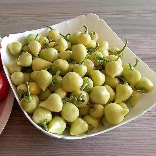 بذر فلفل مرمری