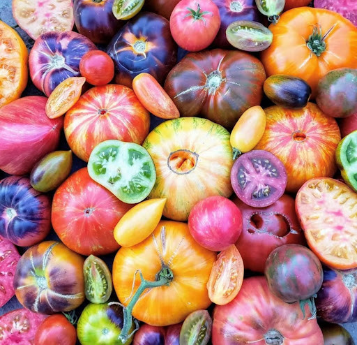 بذر گوجه فرنگی میکس