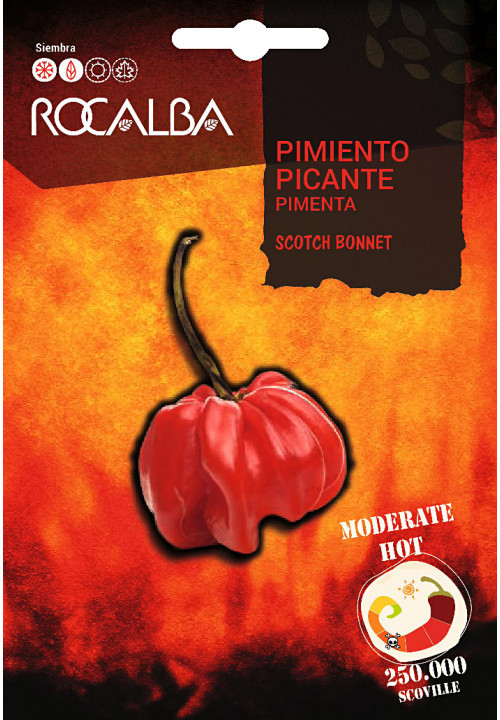 بذر فلفل تند و کمیاب اسکاتچ بانت نارنجی (Scotch Bonnet) ۵ عددی