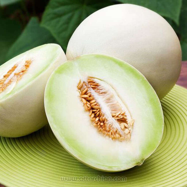 بذر خربزه هانی دیو گوشت سبز