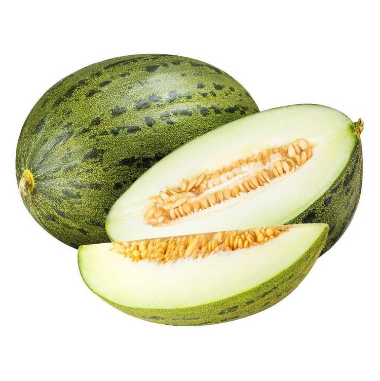 بذر خربزه تیل مگسی