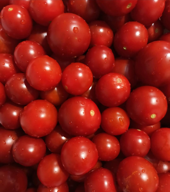 بذر گوجه محلی گیلان (گوجه ریز ترش)