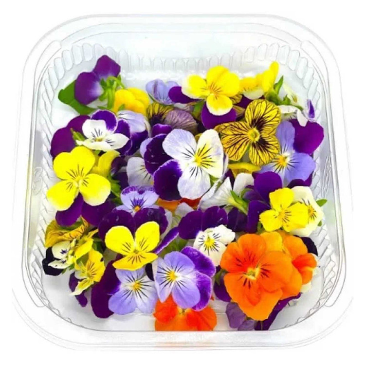 بذر گل بنفشه خوراکی