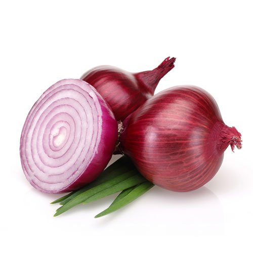بذر پیاز قرمز آذرشهر