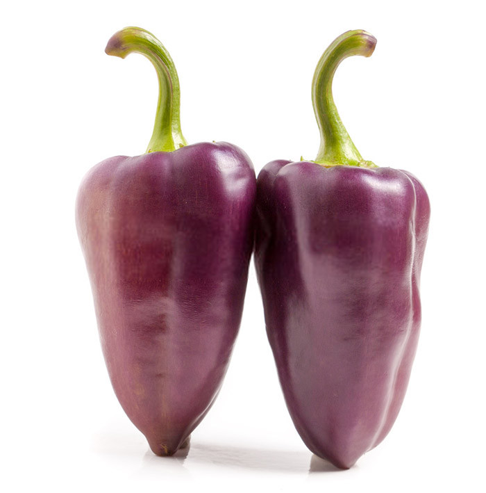 بذر فلفل شیرین کاپی بنفش Violet sparkle