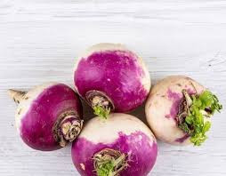 بذر شلغم دو رنگ