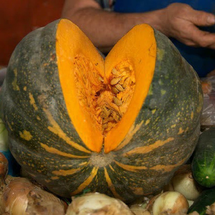 بذر کدو انجیری سبز