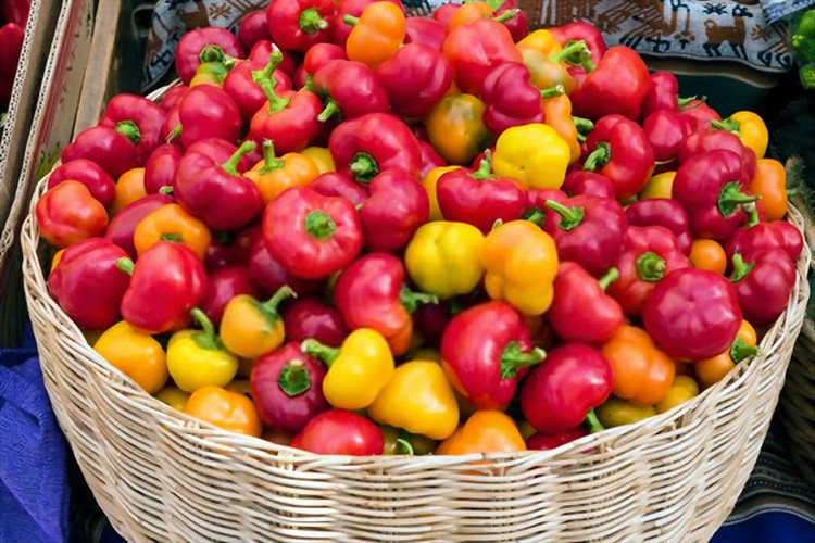 بذر فلفل گیلاسی چری میکس