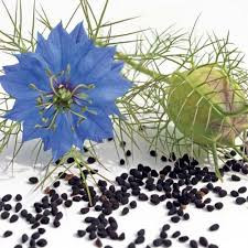بذر گل سیاه دانه دمشقی (عشق در مه)
