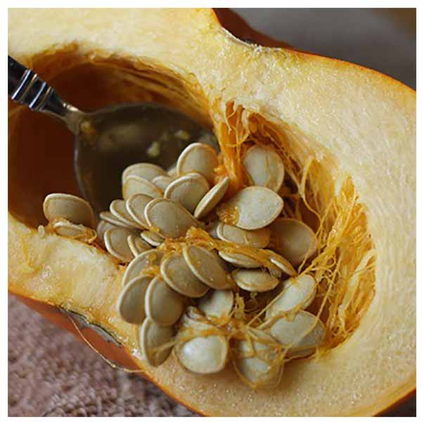 بذر کدو آجیلی مرمر