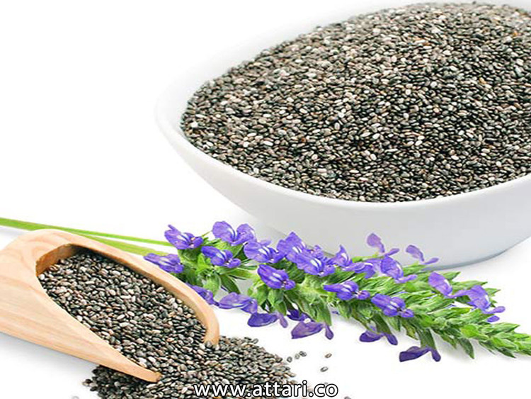بذر بادرشبویه