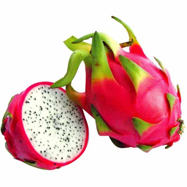 بذر دراگون فروت سفید(میوه اژدها)