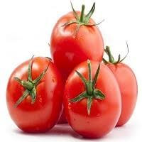 بذر گوجه فرنگی هیبرید بوته ای تایفون شرکت سیدوی آمریکا F1(ربی)