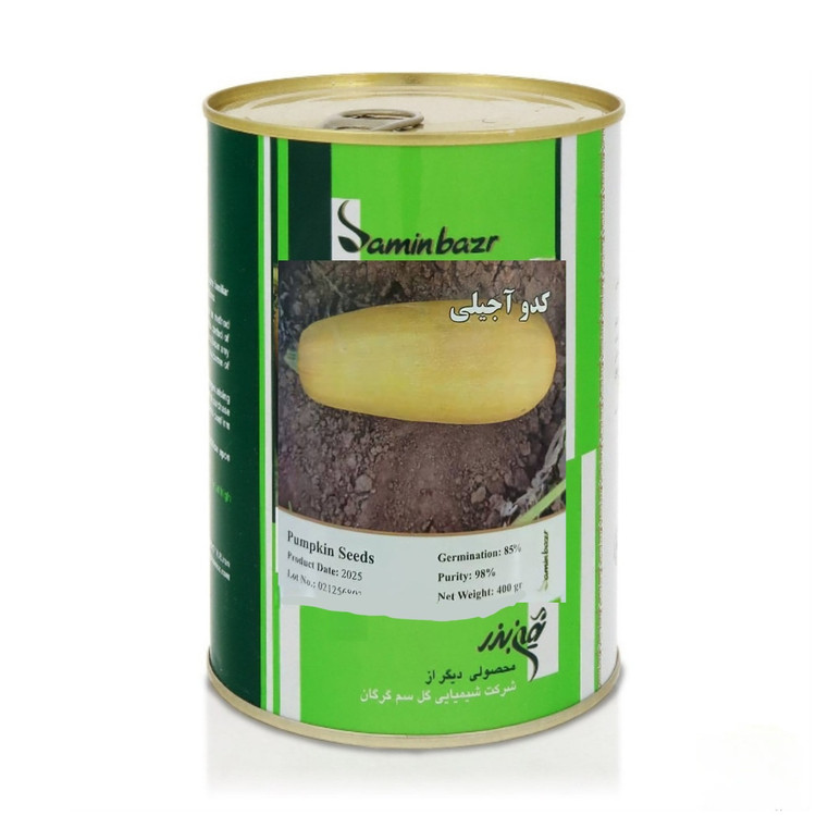 بذر کدو آجیلی ثمین بذر ۲۰۲۵