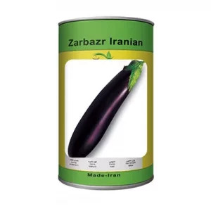 بذر بادمجان قلمی یلدا عنبری