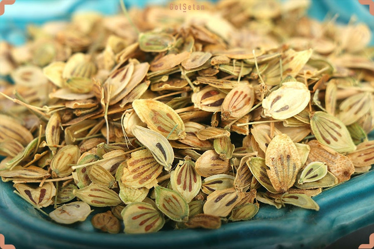 بذر گلپر