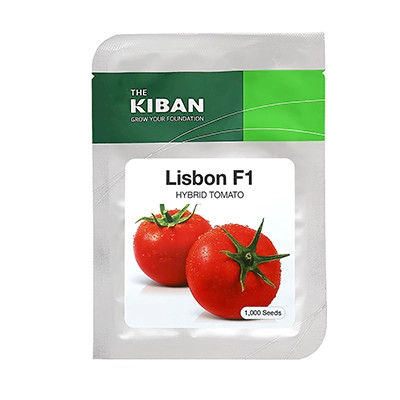 بذر گوجه فرنگی هیبرید گلخانهای لیسبون Lisbon F1