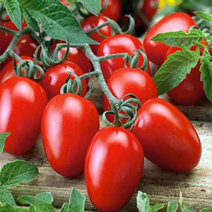 گوجه فرنگی زیتونی قرمز