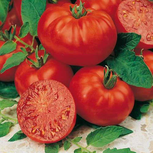 بذر گوجه فرنگی محلی ترش درشت