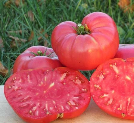 بذر گوجه فرنگی محلی ترش درشت