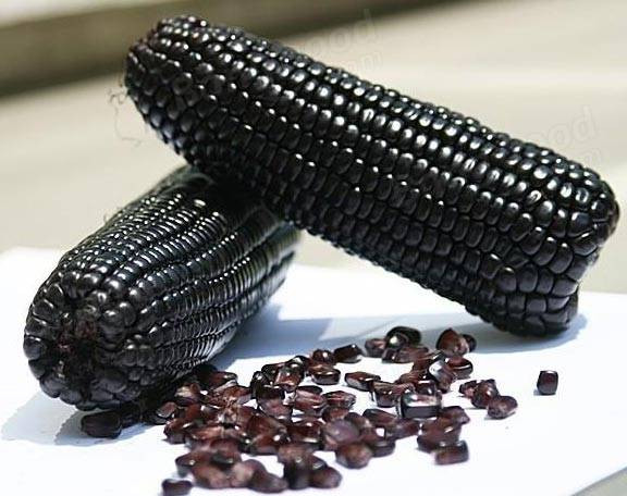 بذر ذرت بیبی مشکی