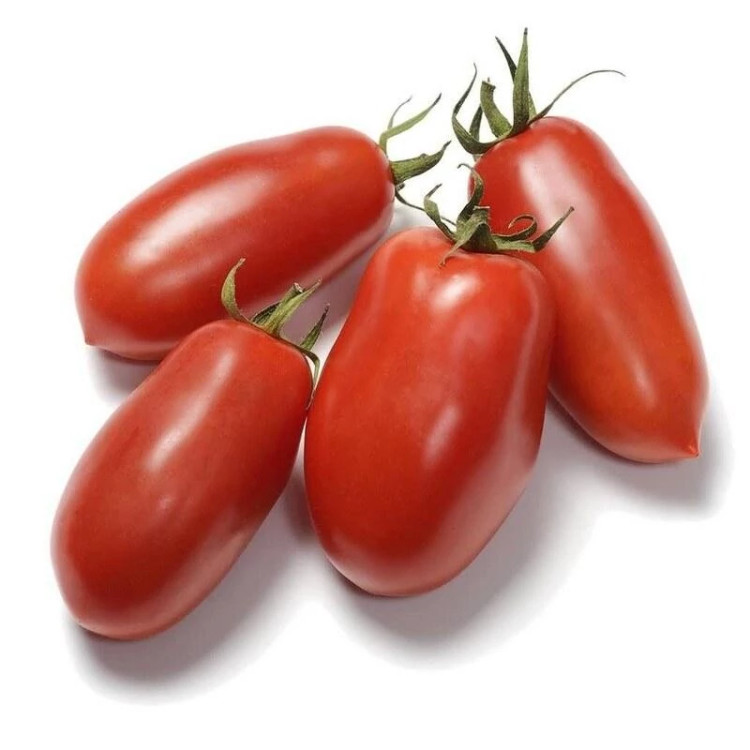 بذر گوجه فرنگی ماری قرمز درختی
