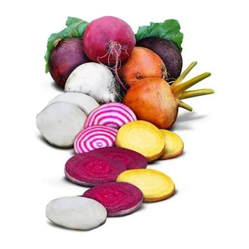 بذر چغندر رنگی