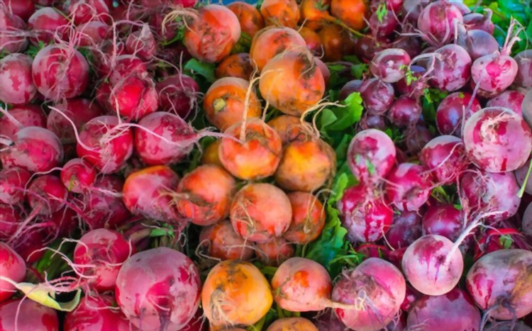 بذر چغندر رنگی