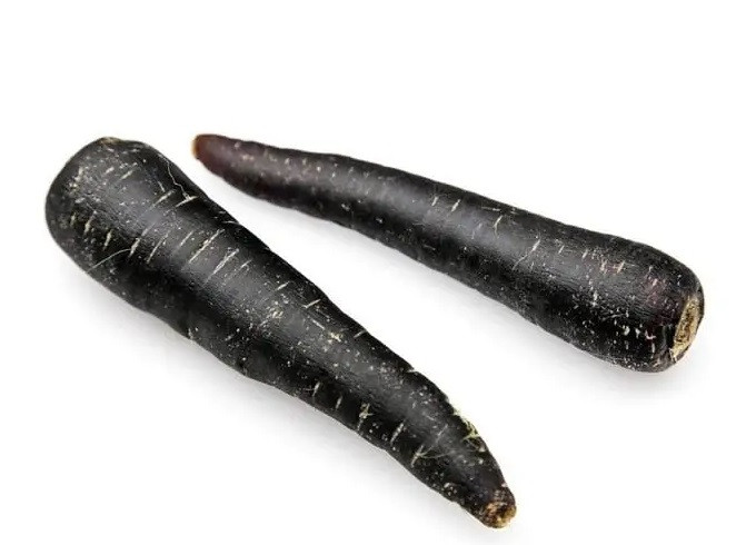 بذر هویج سیاه