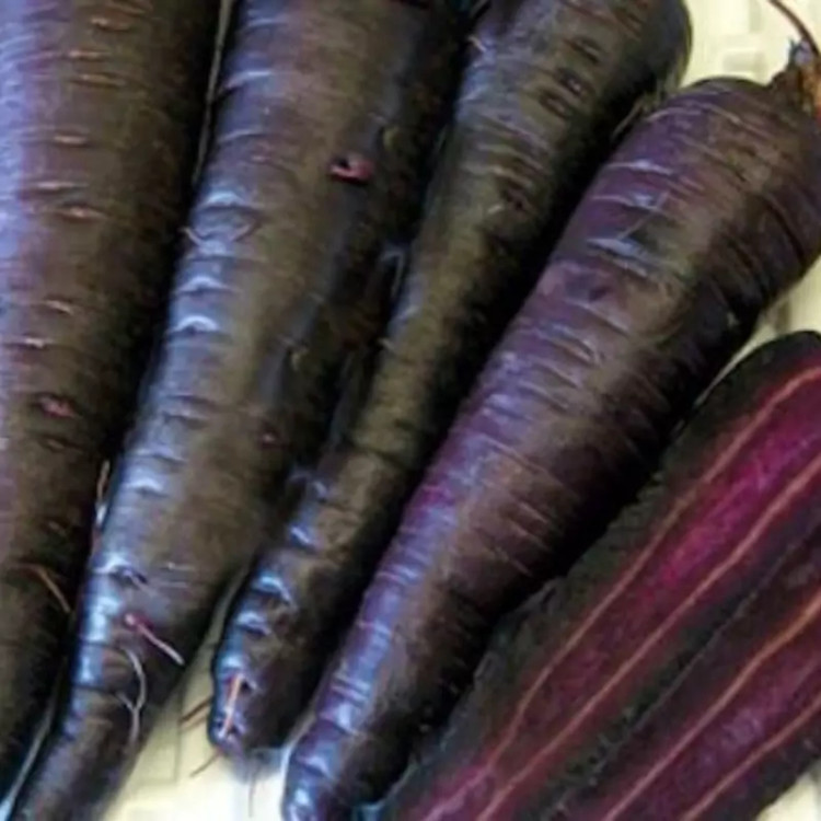 بذر هویج سیاه