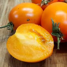 بذر گوجه کبابی نارنجی درختی