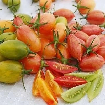 بذر گوجه زیتونی ببری میکس