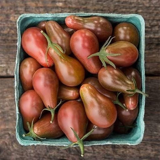 بذر گوجه گلابی خرمایی